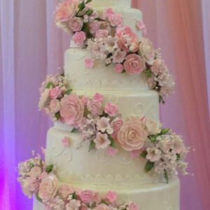Cake Model 5