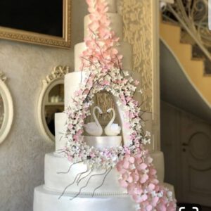 Cake Model 6