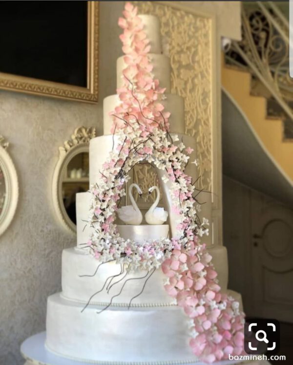 Cake Model 6