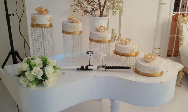 Cake Model 9