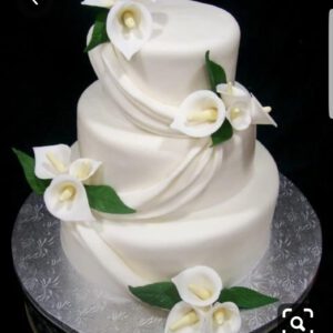 Cake Model 11