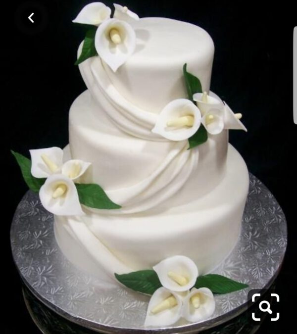 Cake Model 11