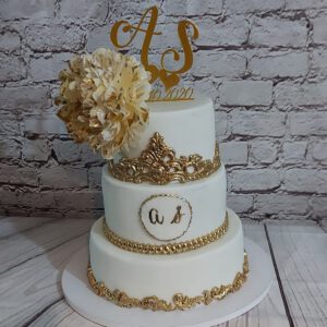 Cake Model 12