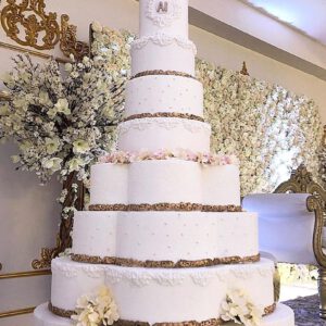 Cake Model 16